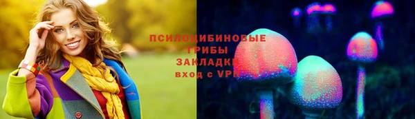 дмт Алзамай