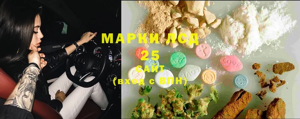 дмт Алзамай