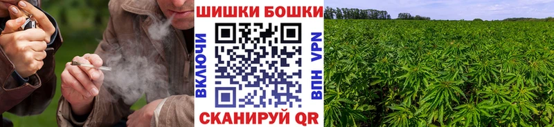 где купить наркоту  Лихославль  Шишки марихуана Amnesia 